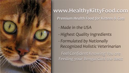 Click Here for Premium, Healthful Cat Food for Bengal cats, Bengal kittens & all feline companions